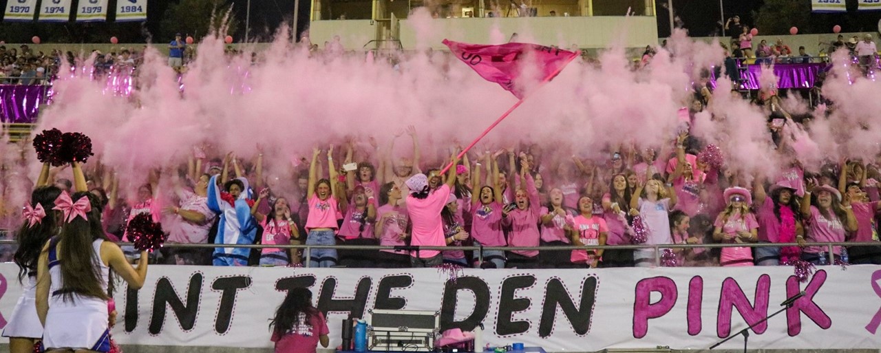 Student section pinkout night